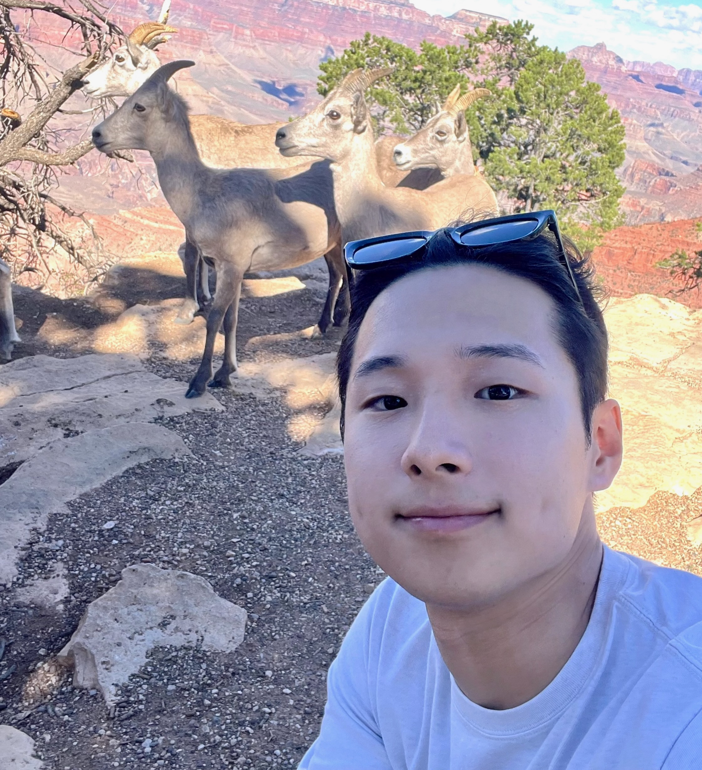 Ikjun Choi